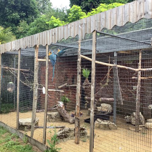 Birdworld